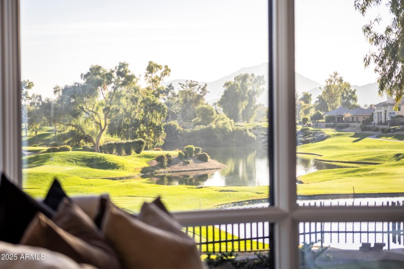 View from Living Room