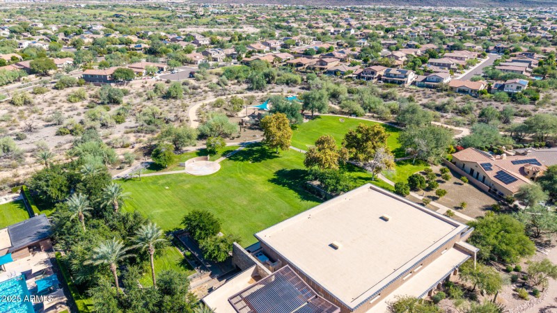 16 - Copper Leaf Drone