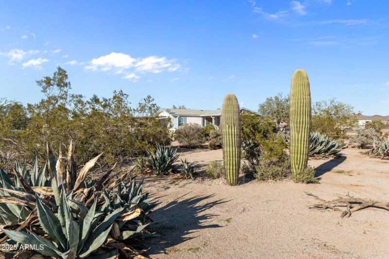 5-web-or-mls-DSC01807