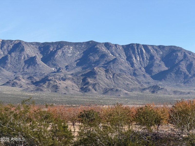 3) 65872-69336b3a5fb30