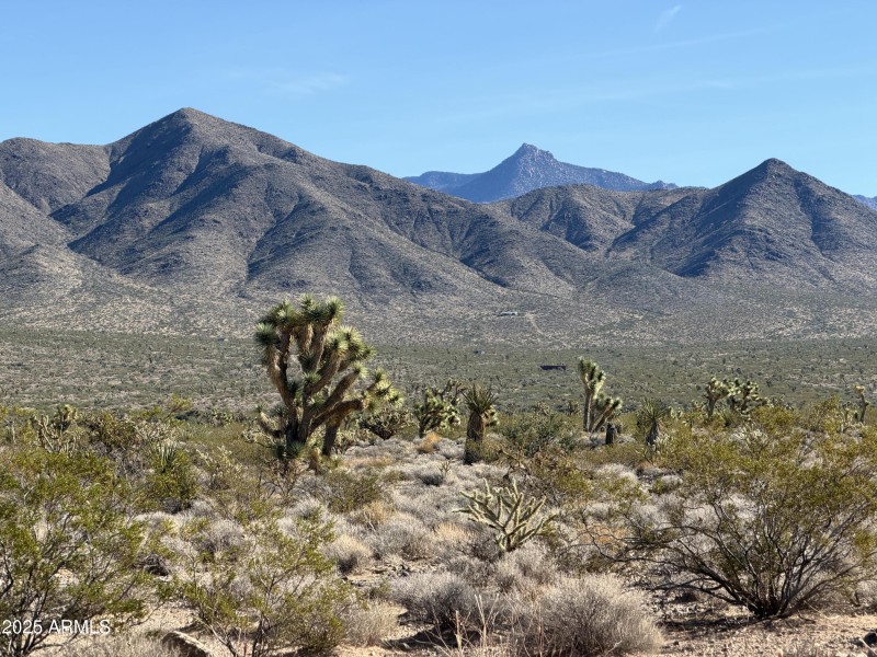 5) 65872-69336b3b7e54b