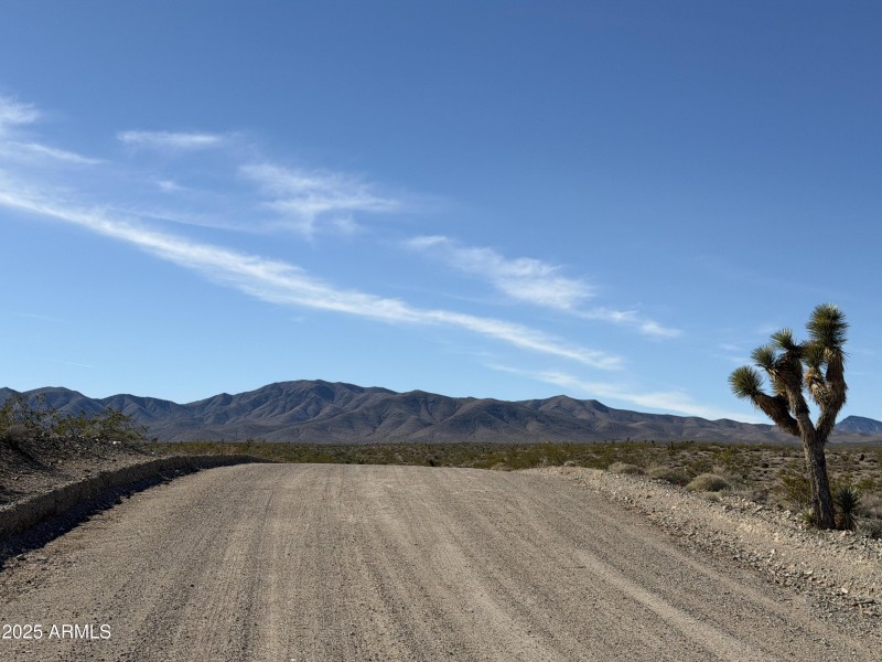 11) 65872-69336b38d5b54