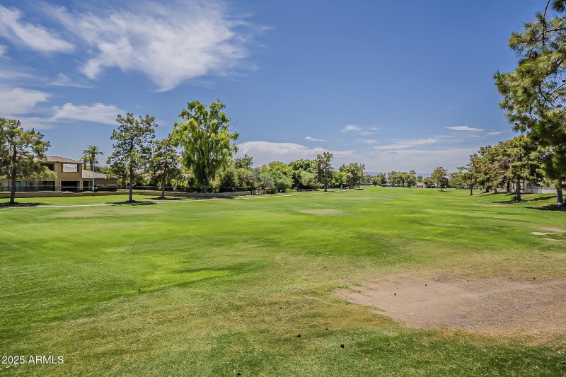50-web-or-mls-Palo Verde-8 (2)