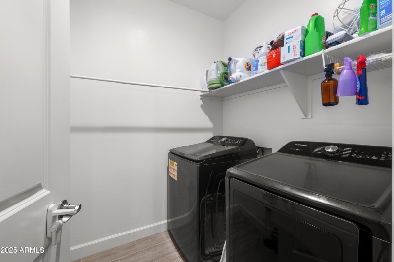 31-37741-N-Bentgrass-Rd-31