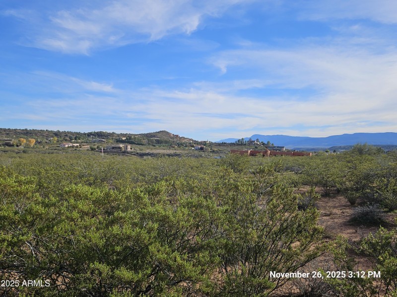 Very gentle sloping lot