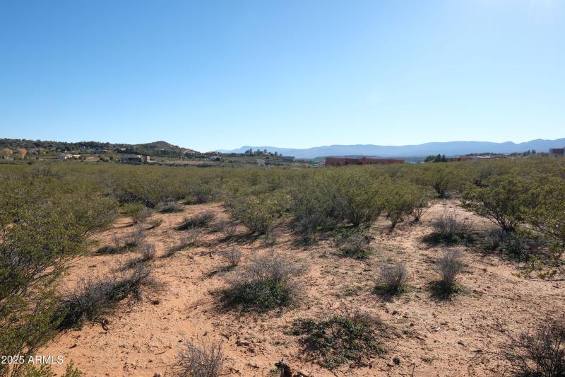Mingus Moutains in the distance