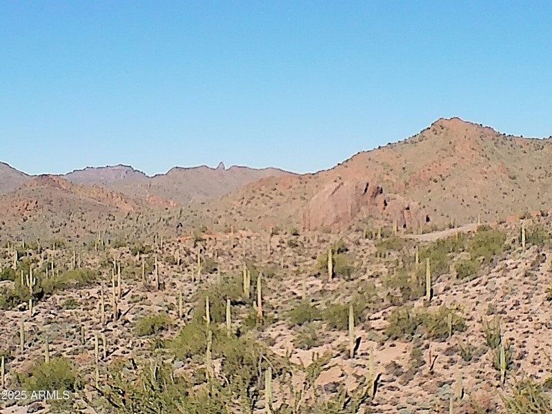 Tonto National Forest