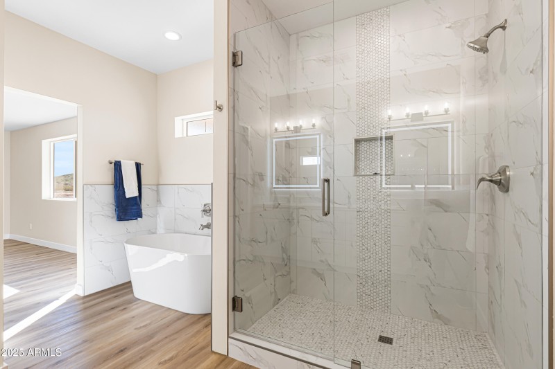 Primary Bathroom Shower