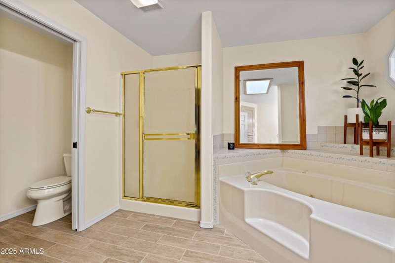 Master Bathroom (2)