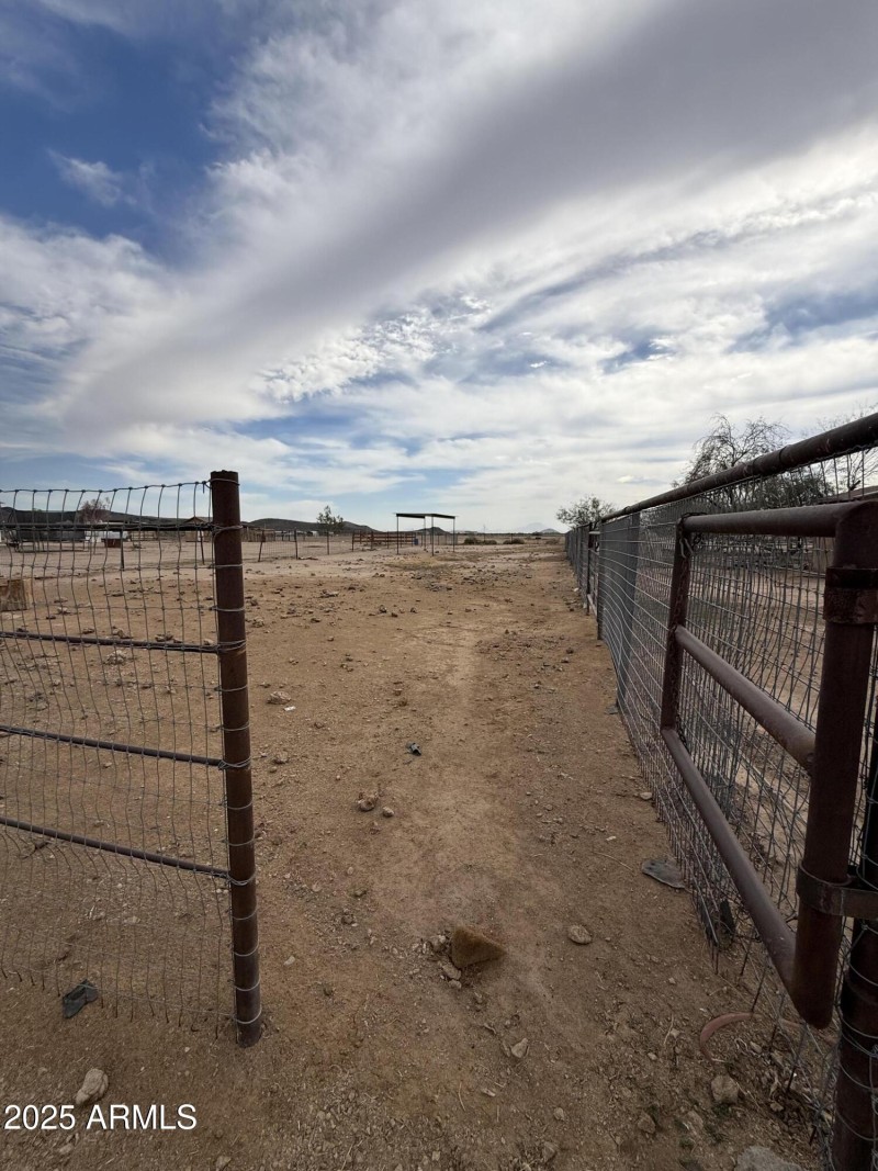 Photo Nov 12 2025, 1 42 50 PM