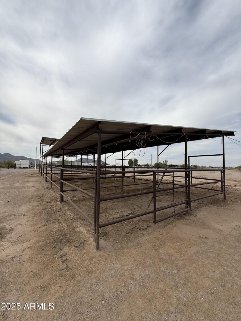 Photo Nov 12 2025, 1 39 55 PM