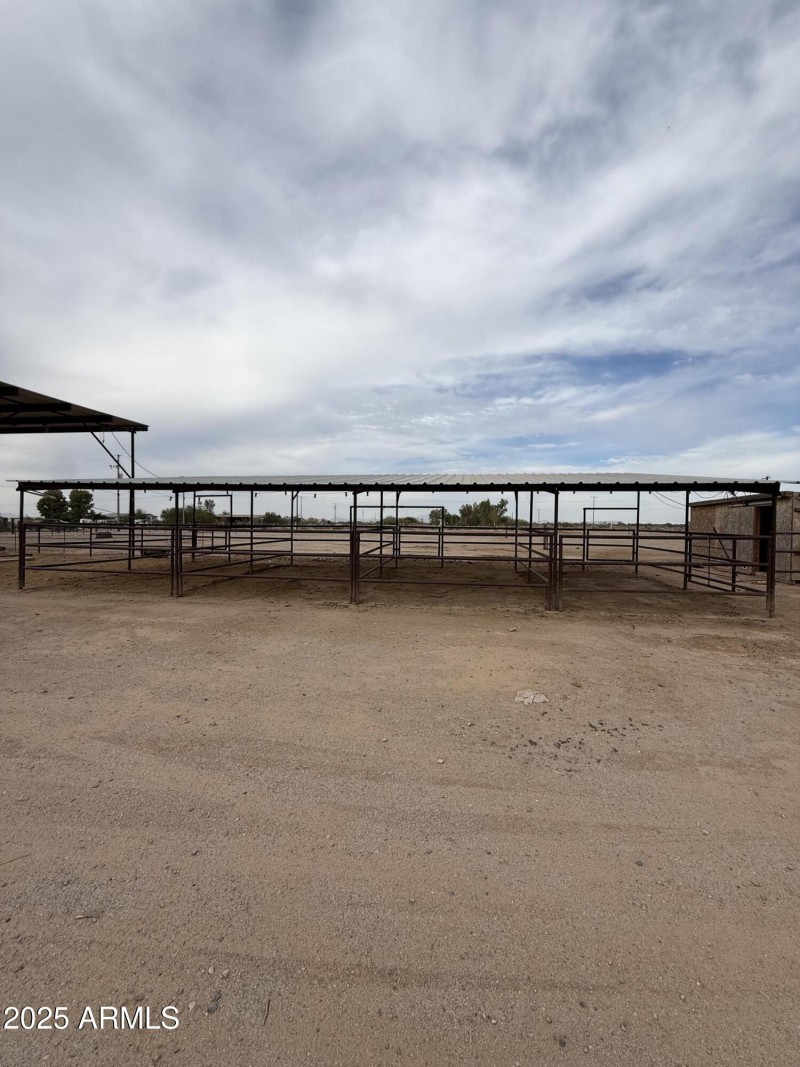 Photo Nov 12 2025, 1 40 14 PM