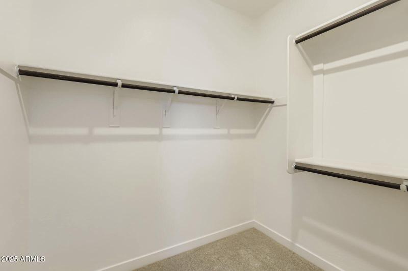 Owners Walk in Closet