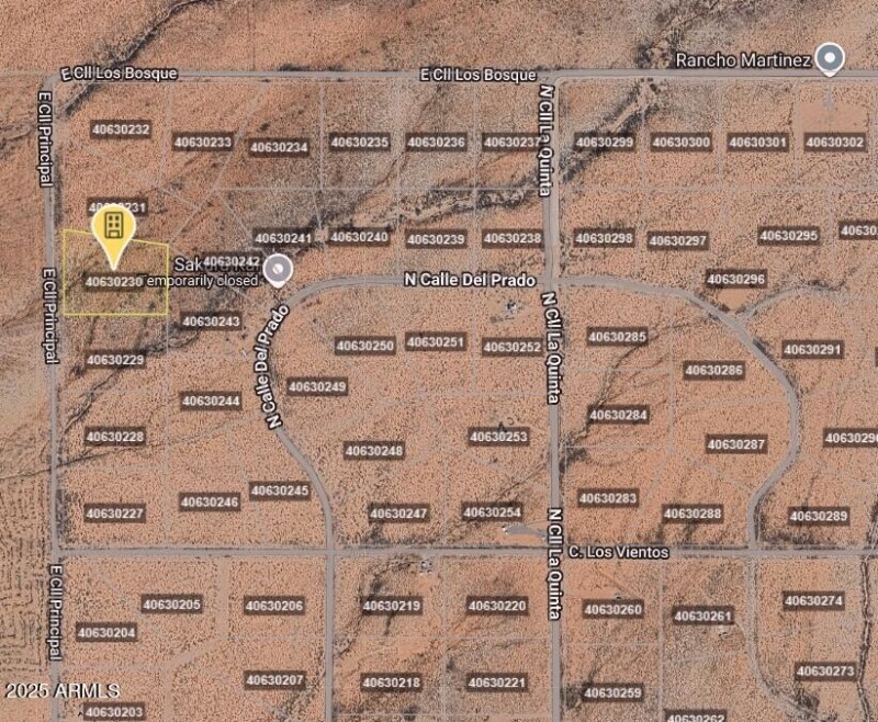 Land_4 Acres Cochise_Deana Means
