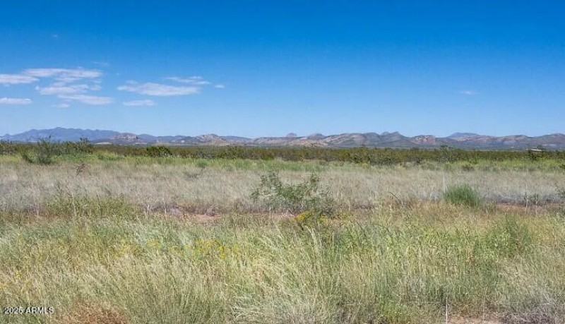 Land_4 Acres Cochise_Deana Means_6