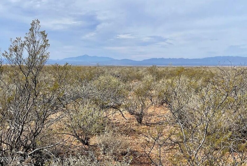 Land_4 Acres Cochise_Deana Means_7