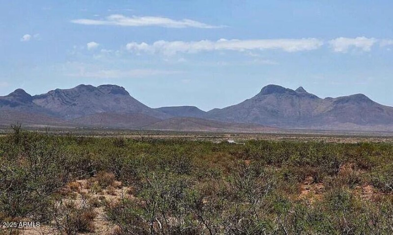 Land_4 Acres Cochise_Deana Means_8