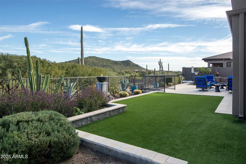Synthetic grass with views