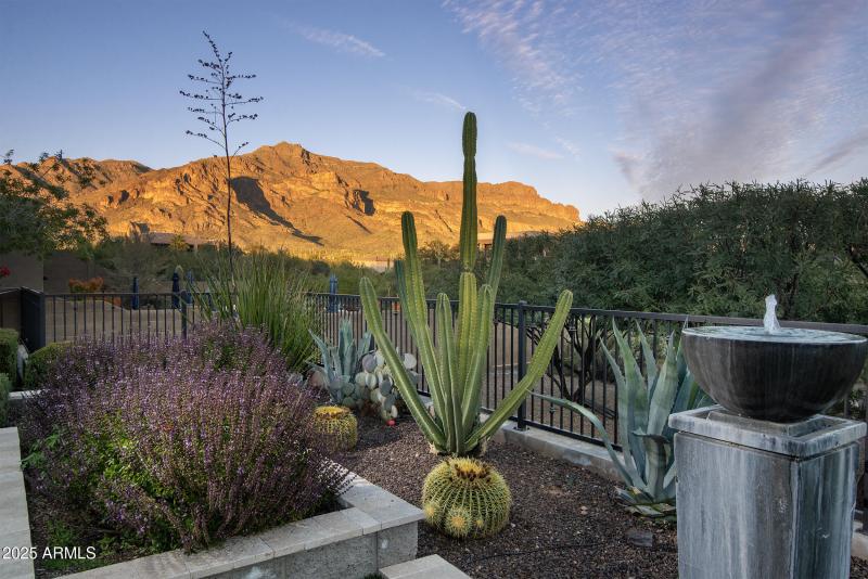 Backyard gardening area