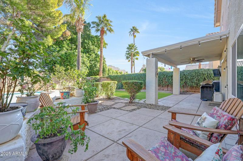 Resort-like backyard oasis