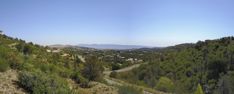 Panoramic View
