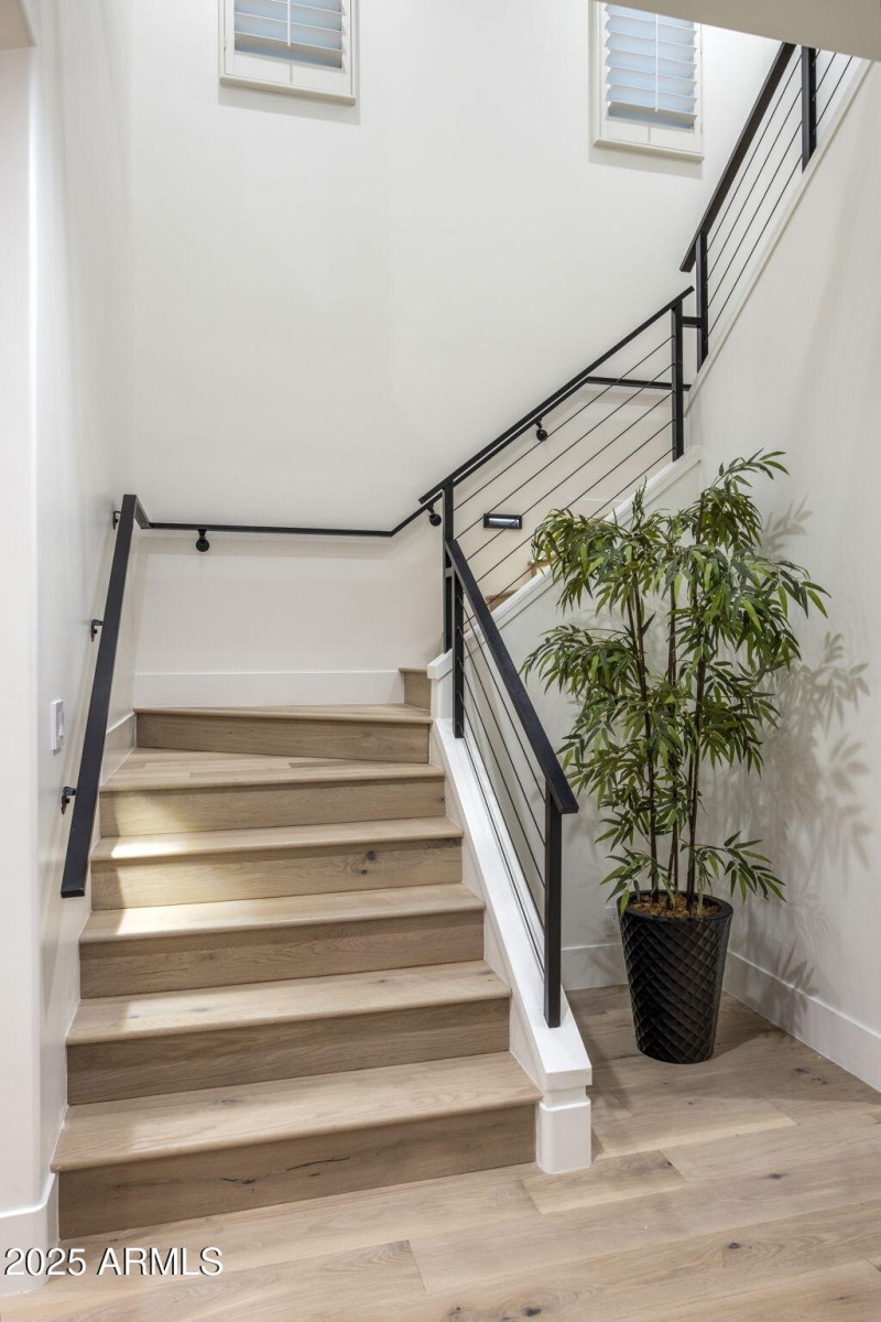 36-web-or-mls-D46A9314