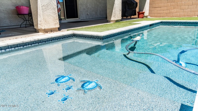 48 View 6 Backyard with in lay decorativ