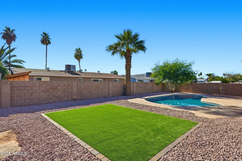 Turf backyard with sparkling pool