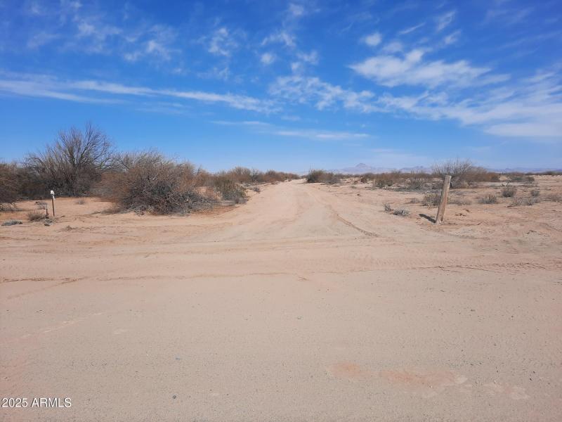 Resized_20250211_120618_17242402569089