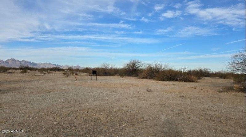 Black20250207_084637