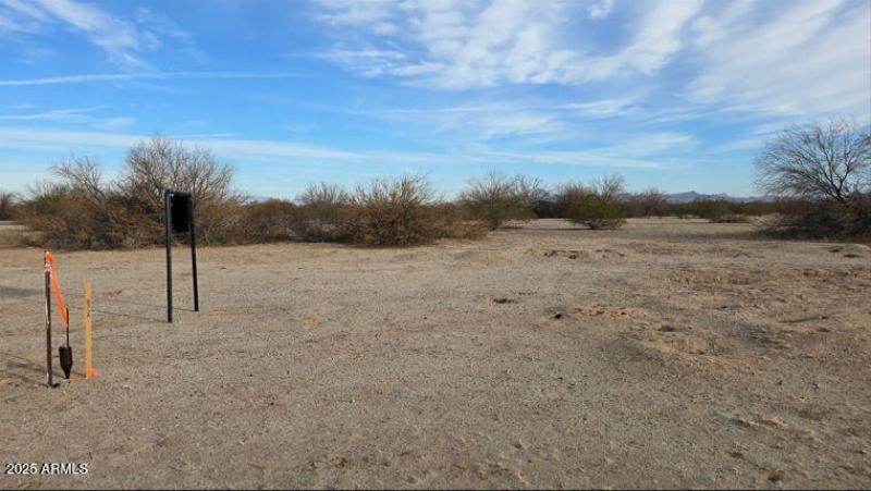 Black20250207_084657