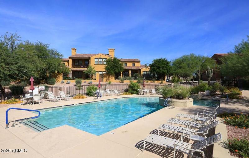 Encore Pool and Lounge Chairs