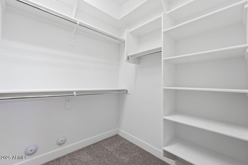 4198 E BRITTLEBUSH Lane - Ready Now!