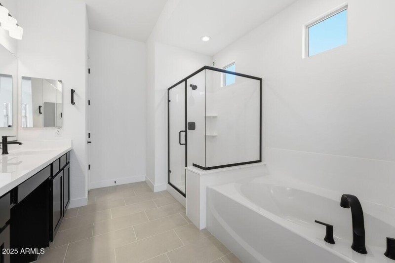 4103 E BRITTLEBUSH Lane - Ready Now!