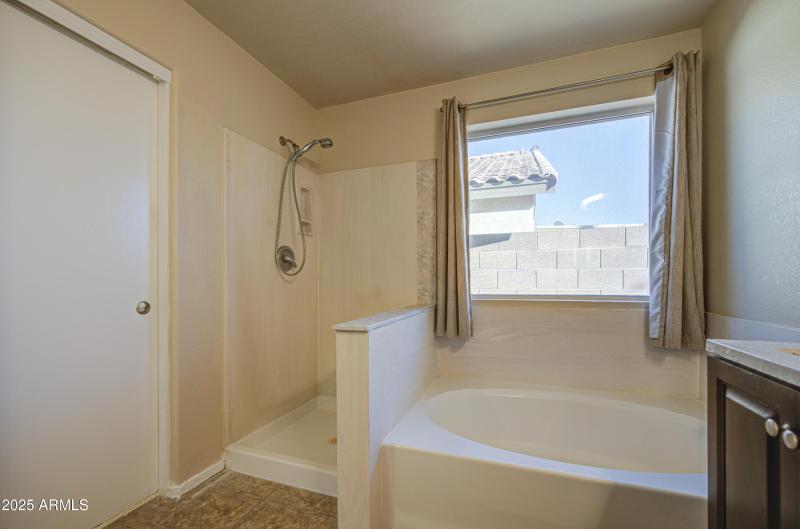 Primary Bath Separate Tub and Shower