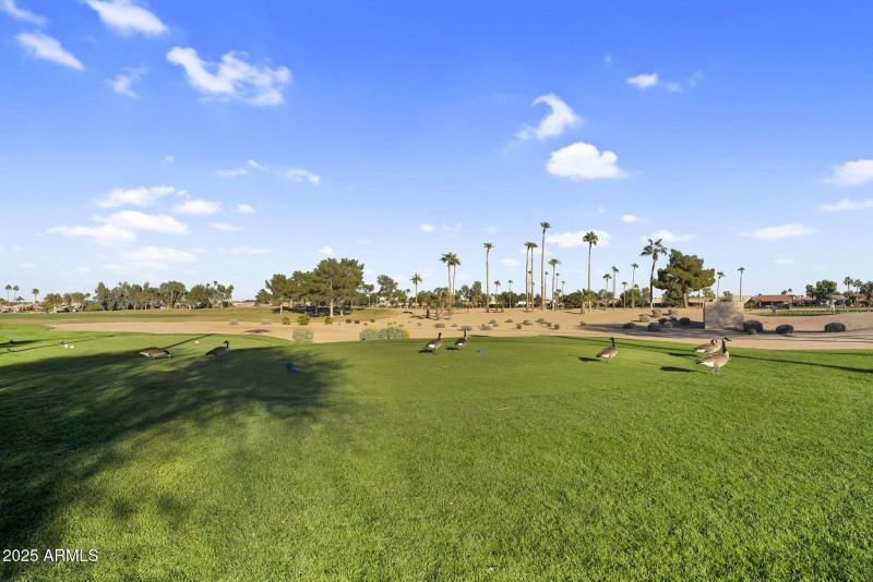 57-web-or-mls-DSC00266