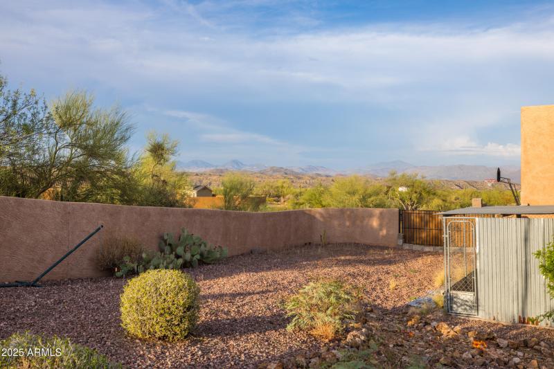Backyard Desert Landscape