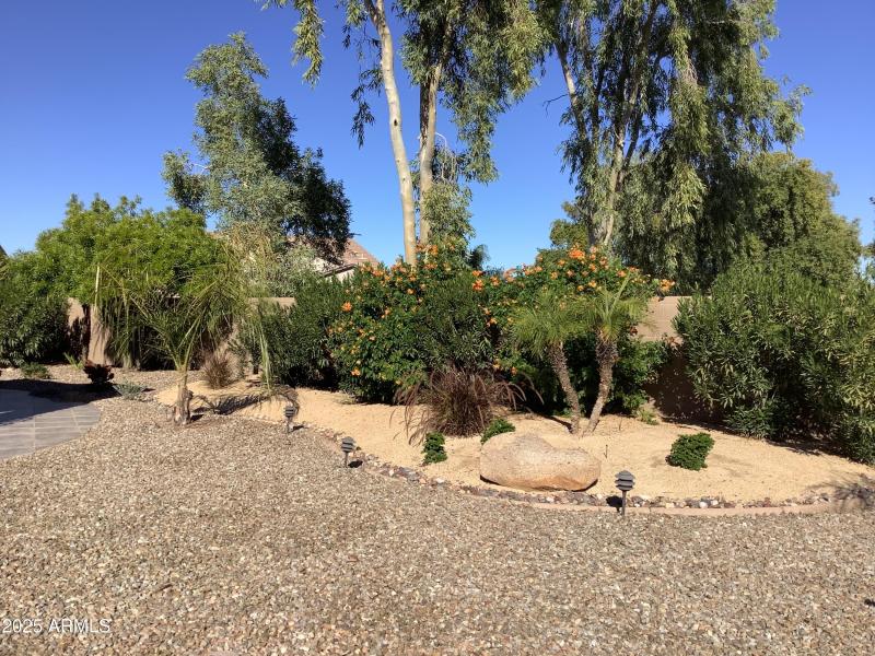 C4482BD8-C7AF-43D0-AED0-93A21BFE8C97