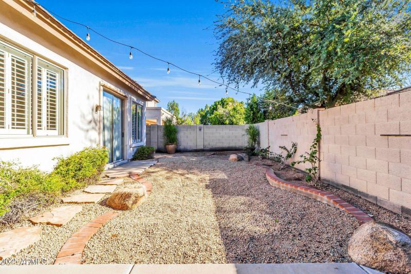 Low Maintenance Backyard