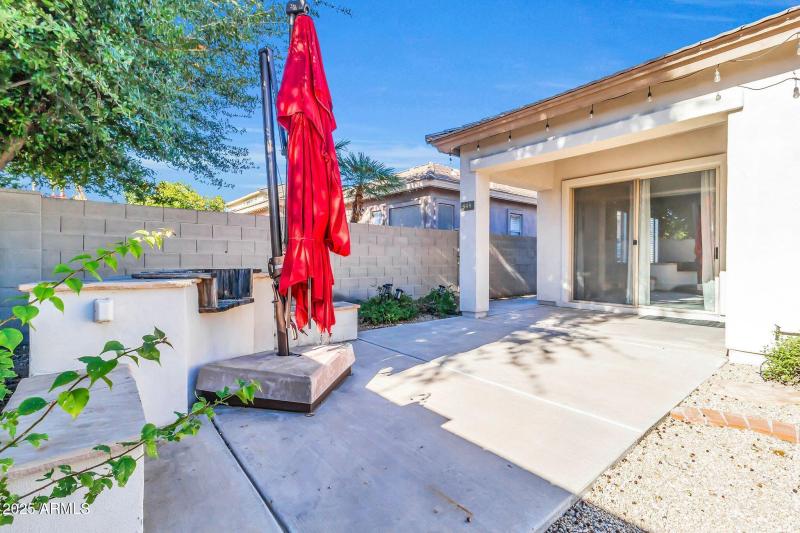 Low Maintenance Backyard