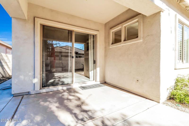 Low Maintenance Backyard