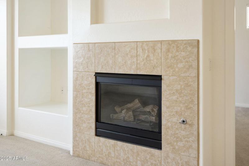 GAS FIREPLACE IN LR