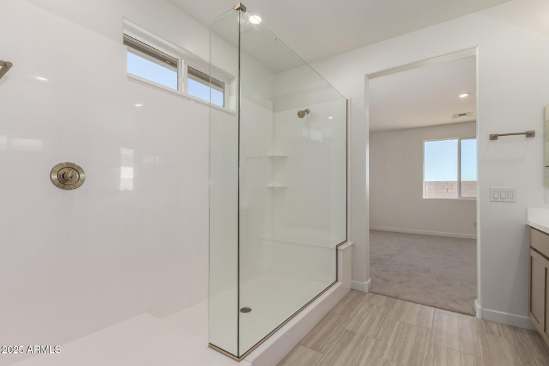 Master Bathroom Shower