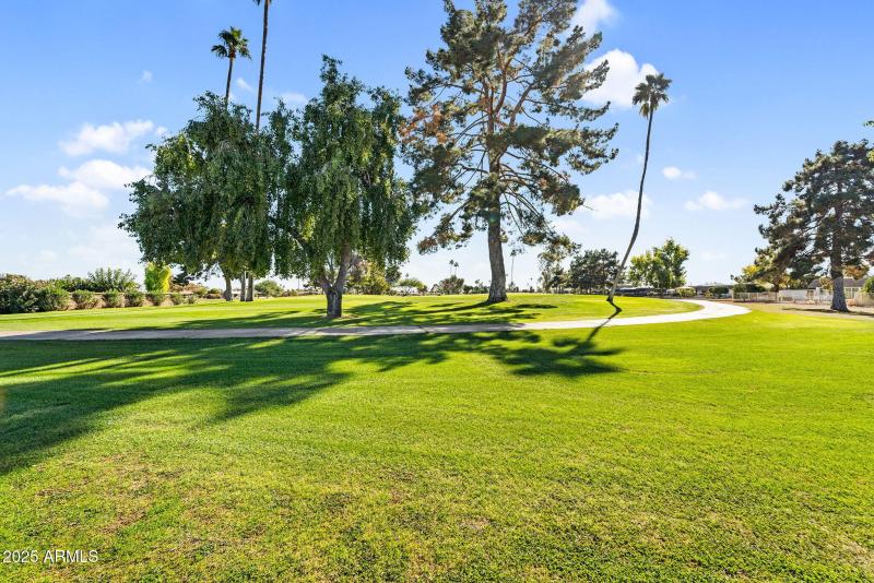 65-web-or-mls-DSC01628