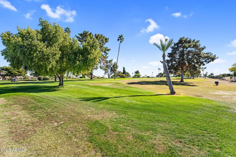 66-web-or-mls-DSC01623