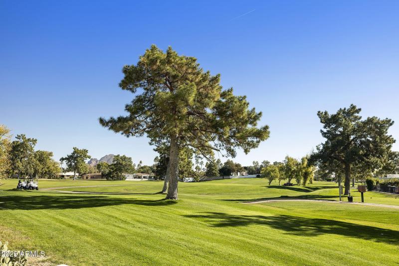 68-web-or-mls-_TM_6669