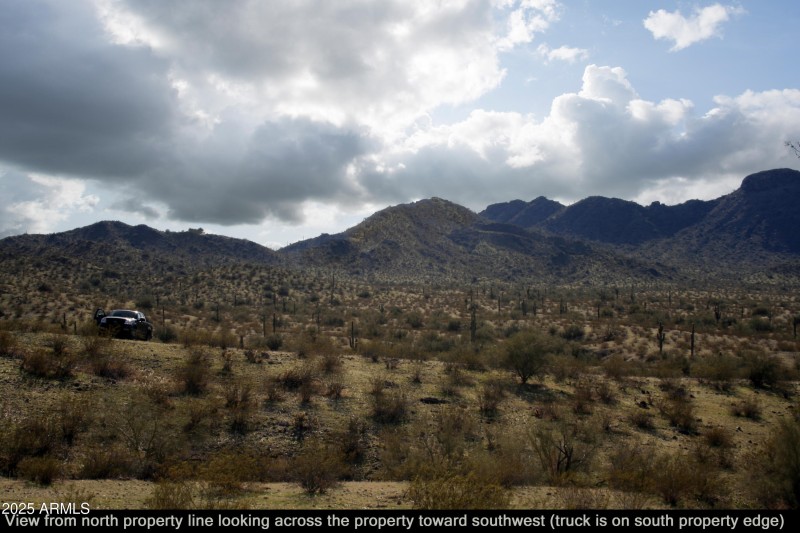 4_View to south from north property edge