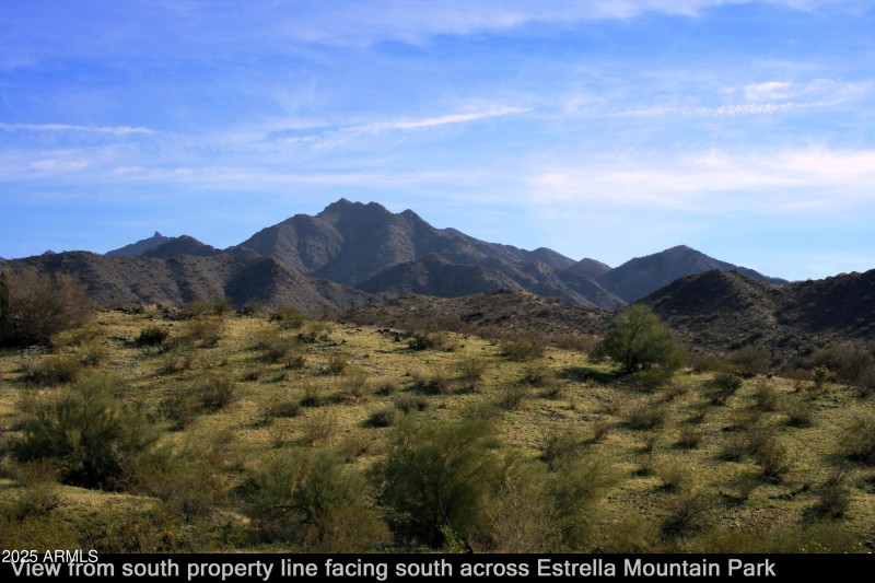 5_View to south in summer