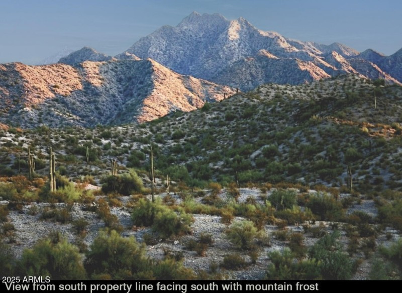 10_View to the south with frost