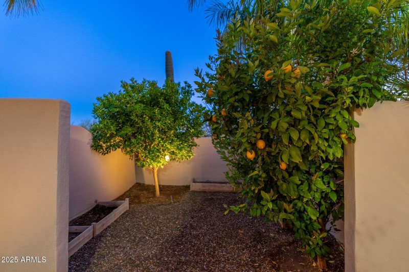 Backyard Garden at Twilight